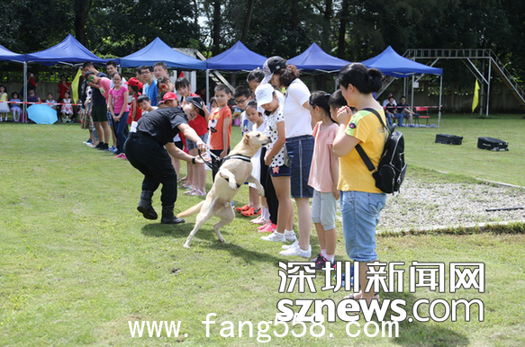 深圳海关缉毒犬开放日 VR体验“服毒”危害