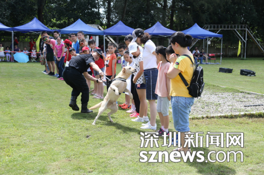 深圳海关缉毒犬开放日 VR体验“服毒”危害