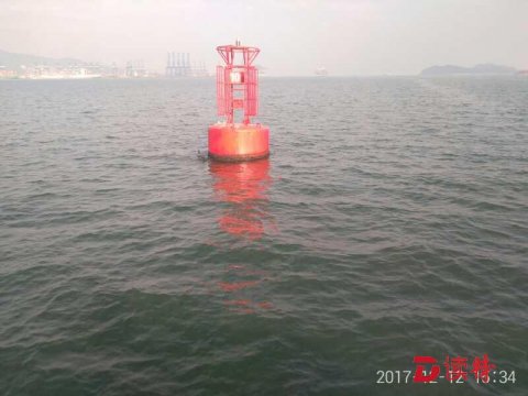 海豚把这里当家了石岩小产权房！年内第三次现身盐田港海域