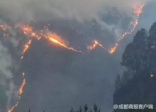 2起森林火灾造成重什么叫小产权房大损失 甘孜雅江25人被严肃追责