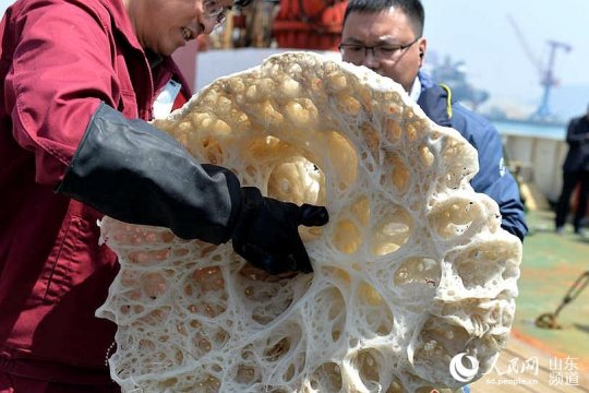 41天，“深海行小产权房可以贷款吗者”带回麦哲伦海山的神秘