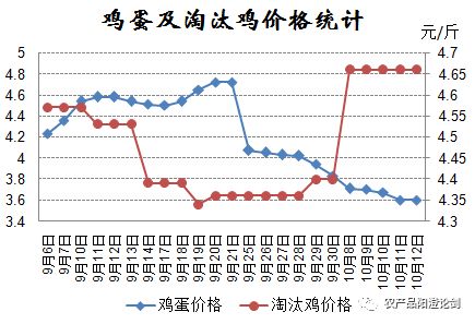 鸡蛋现货仍有下跌空间！