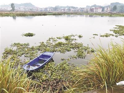 湖南一男子假死骗保 反致妻子带着一双儿女自杀