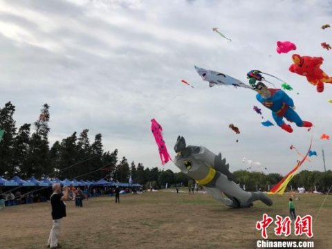 空中百余只中外风筝“深圳统建楼政策好风凭借力”一路飞起“筝”奇斗艳