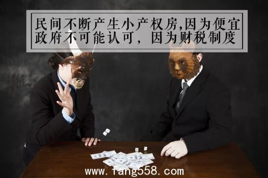 小产权房犹如超生的孩子 政府拆不掉也不敢合法化董藩-北京师范大学房地产研究中心主