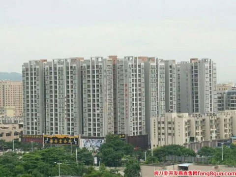 深圳村委统建楼可以落户嘛？