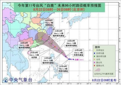 国家防总秘书长：11号台风“白鹿”或将登陆闽粤 将密切监视及时预警