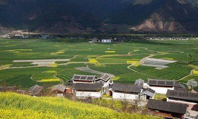 刘世锦：抵制农村土地自由流动没有道理