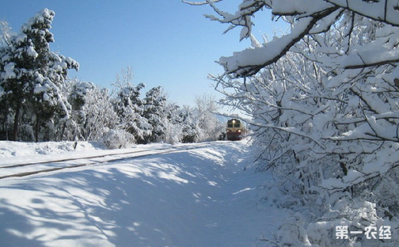 漠河下雪 比去年提前25天